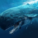 深海・巨大生物　←この２つ、ワクワクするんだが分かる奴いる？（画像あり）