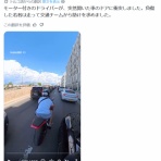 わんこーる速報！