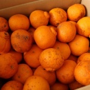 【楽天スーパーセールPアップデー】購入したもの