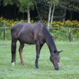 『悩む』の画像