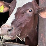 みんなで食べよ！～おうちごはん