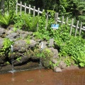 夏の旅6月７～羊蹄山の山麓はとっても自然豊か❗️京極町・倶知安町
