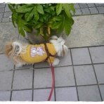 いつまでも一緒だよ♪