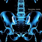 スポーツ整形外科医S. Uのブログ  Sports Physician  S.U Blog