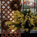 IDDM  58歳、ある日突然１型糖尿病になりました。が…