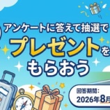 『ANA FESTA、アンケート回答で3,000円相当の商品セットが当たる！』の画像