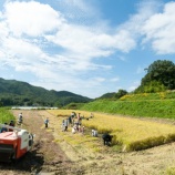 『また今年も食べ物があると感じること』の画像