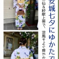 素敵なゆかた姿で楽しむ、安城七夕まつり🎋