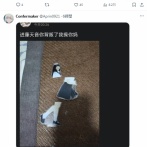 ラブライブ・バンドリ声優の進藤あまねさん　探偵による浮気調査が晒され発狂する中国人が多数確認される