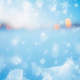 『ご近所友も色々』の画像