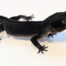 【今週末はサービスデイ！！（2月21日.22日.23日）】