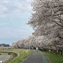 高崎ジョグは暑すぎてダメダメからのガタニーに戻る。20.1km 1088kcal 110hrTSS