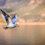 介護がきた・50代から始める独身女性の仕事と生き方