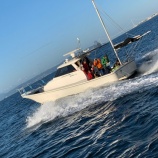 『GACHIフレンドリーcup2019 実釣 SEA PARADISE編』の画像