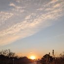 あけましておめでとうございます !  Happy New Year To You !