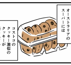 クッキーを買ったので…