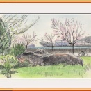 桜スケッチ　4.8　巨岩とさくら