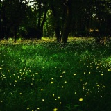 �ҥ�ܥ��������