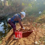 『対戦車地雷の回収』の画像