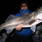 TOKYOBAY FISHING GUIDE SERVICE Glory(グローリーフィッシング)