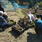 大川村の下剋上！　～元・日本一人口が少ない村の日々～