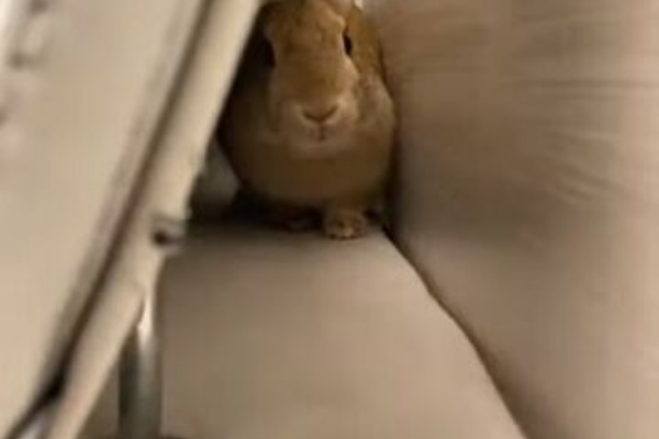 うのくらし ホリホリ うのくらし ホリホリ