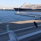 パシフィコ横浜付近で何を思う？