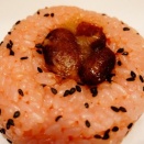 【1月21日】北海道旅行記はXで更新中