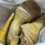 大酒呑助の独り言