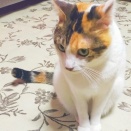 ３つ目のお墓参り