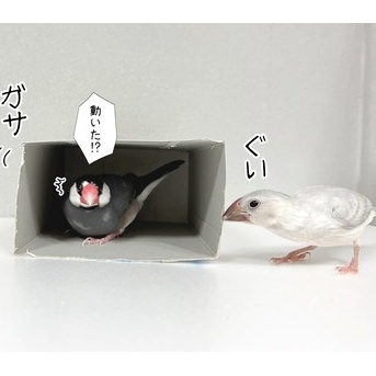 ジルは全然気にしない