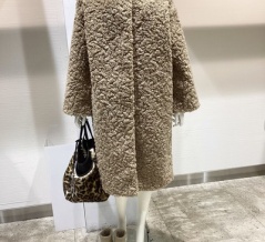 トイプードルのアプリコット🐶