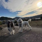 サマジニのいる生活Samajini Diary