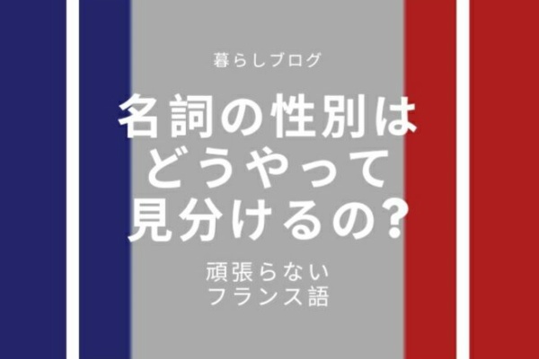 Nanami San Vlog French わかりやすいフランス語