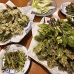 山形グルメ探検隊