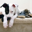 あああぁ～～帰ってきちゃった(￣ ‘i ￣;)