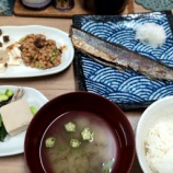 ؿӥ εȡʤΤ˥ ںڿꡪ̣ز ̤̣ ٤β