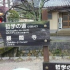 『『春近し🌟残冬の京都に咲く《みつまた》の花』』の画像