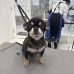 新潟県長岡市　ワンラブ　長岡リナシエKITAMACHI店blog