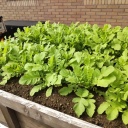 Ȫ��Ȣ���浡���纬���դäѤ���ʬ��ä���ޤ���(^_^)