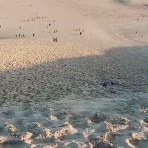 大門整体日記～朝日とともに始まる治療院！