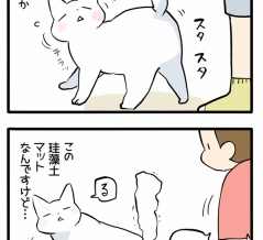 お尻トントンしてほしい猫の誘導が上手