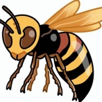 【動画】スズメバチを生きたまま食べた男性、とんでもないことになるｗｗｗｗｗｗｗｗｗｗｗｗｗｗｗｗ