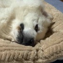 ジニたん絶好調です👍