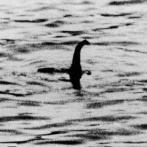 ネス湖のネッシー、マジで凄いことになっていた・・・