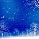 Winter  Avenue. #１０１