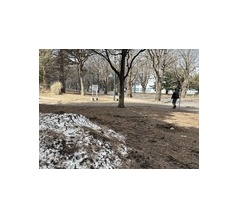 日陰に残る雪の山