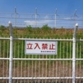 歩いて歩いて歩く