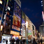 さえひろでいず