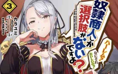 奴隷商人しか選択肢がないですよ ハーレム なにそれおいしいの スカルのskdbブログ